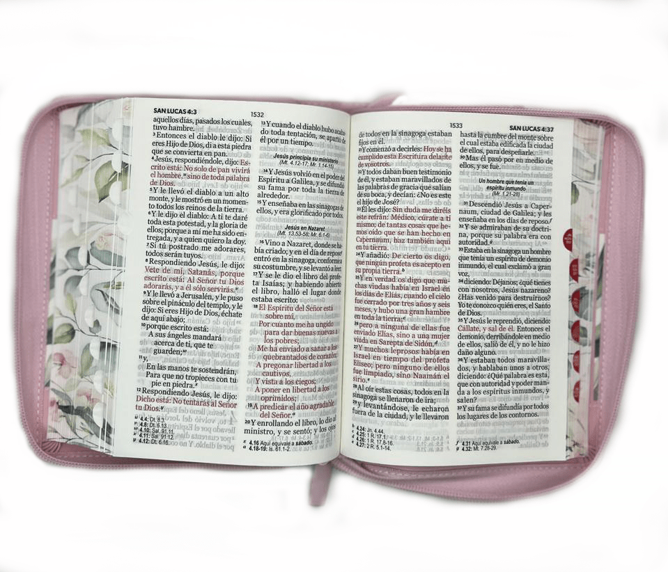 BIBLIA BOHO ROSA3