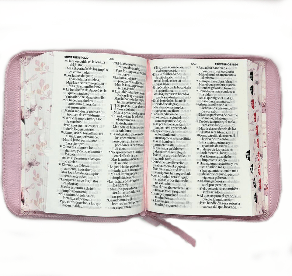 BIBLIA MARIPOSAS ROSA2
