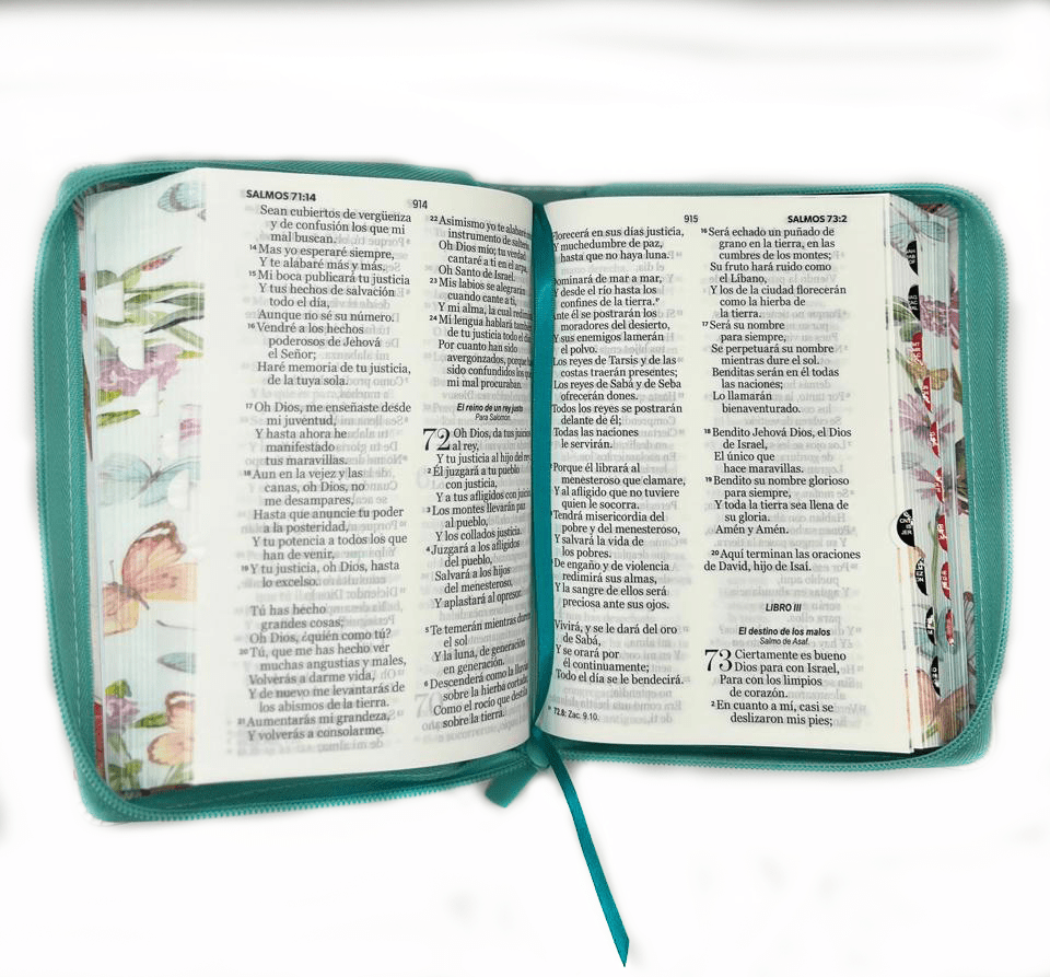 BIBLIA MARIPOSAS TURQUESA3