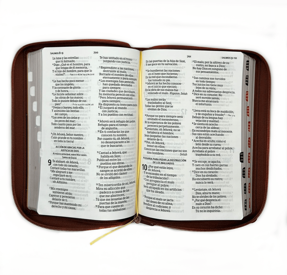 BIBLIA LETRA GRANDE LEÓN3