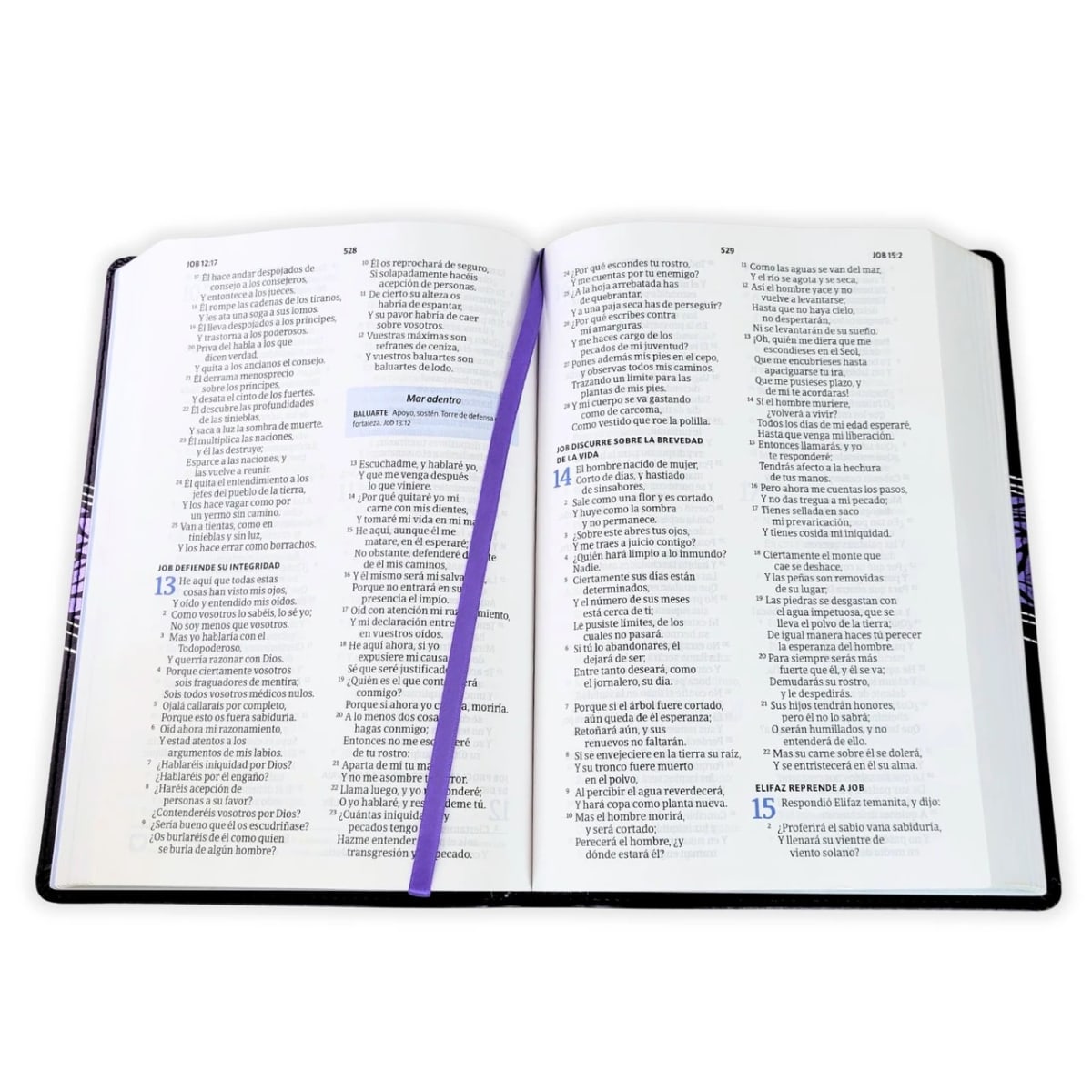 BIBLIA DEL PESCADOR MUJER VIRTUOSA3