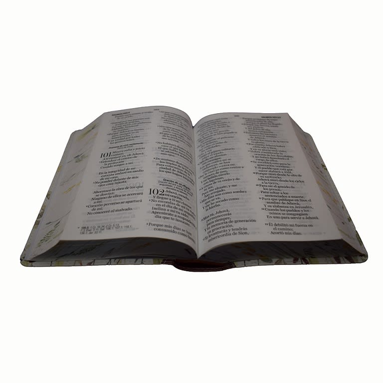BIBLIA PRIMAVERAL MARRÓN2
