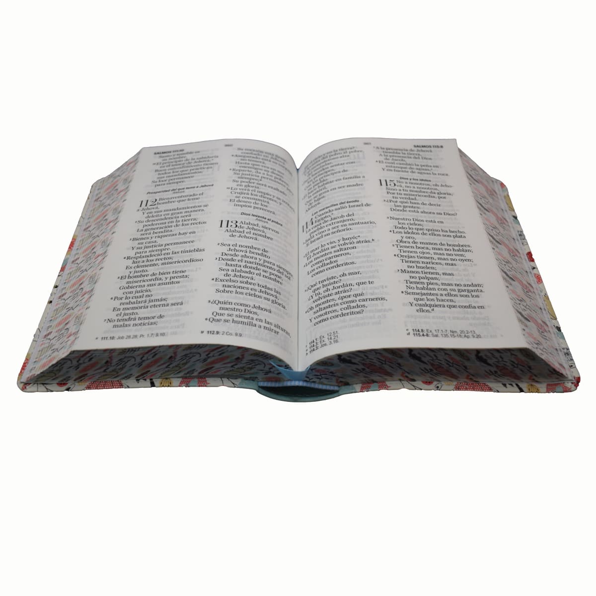 BIBLIA PRIMAVERAL TURQUESA2