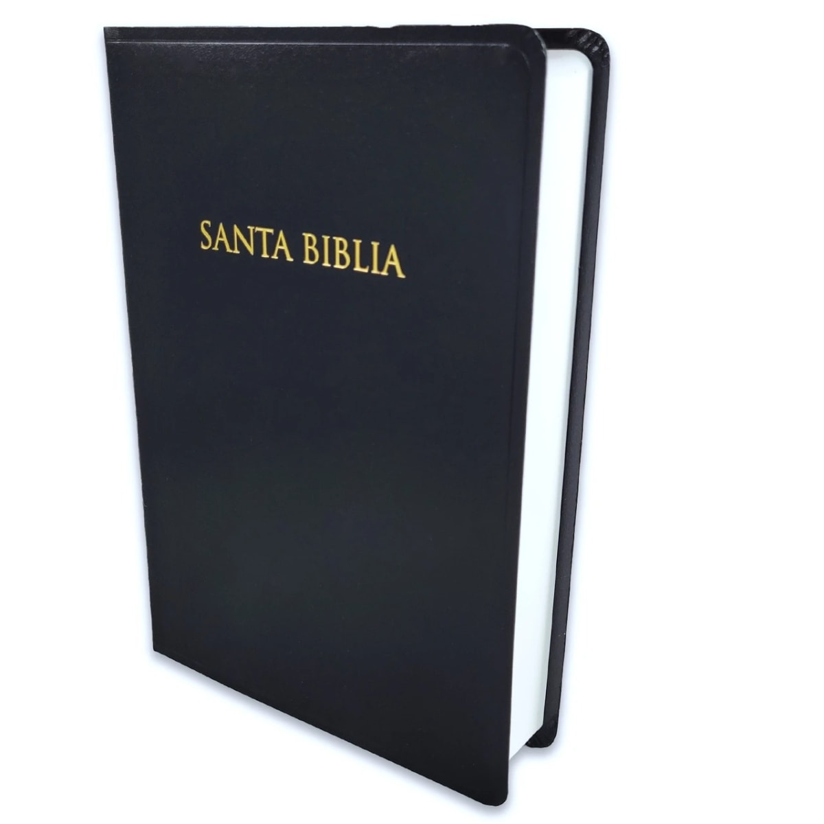 BIBLIA REGALOS Y PREMIOS NEGRO4