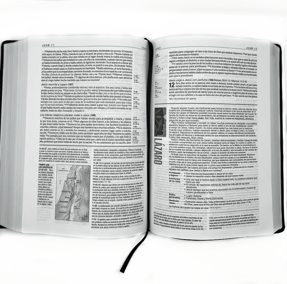 BIBLIA DE ESTUDIO DEL DIARIO VIVIR CAFÉ2