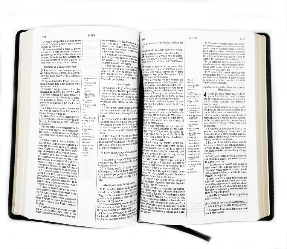 BIBLIA DE ESTUDIO SCOFIELD VERDE3