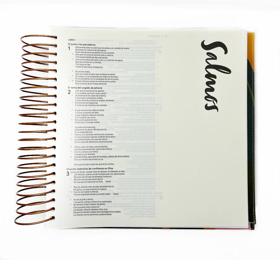 BIBLIA PARA ILUSTRAR FLORAL1