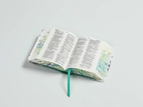 BIBLIA RENOVACIÓN VERDE3