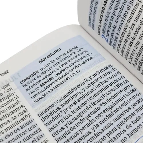 BIBLIA DEL PESCADOR MUJER VIRTUOSA2