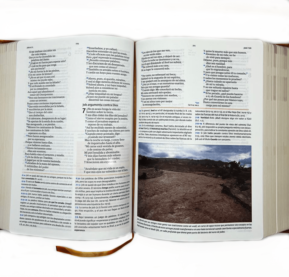 BIBLIA DE ESTUDIO HOLMAN3