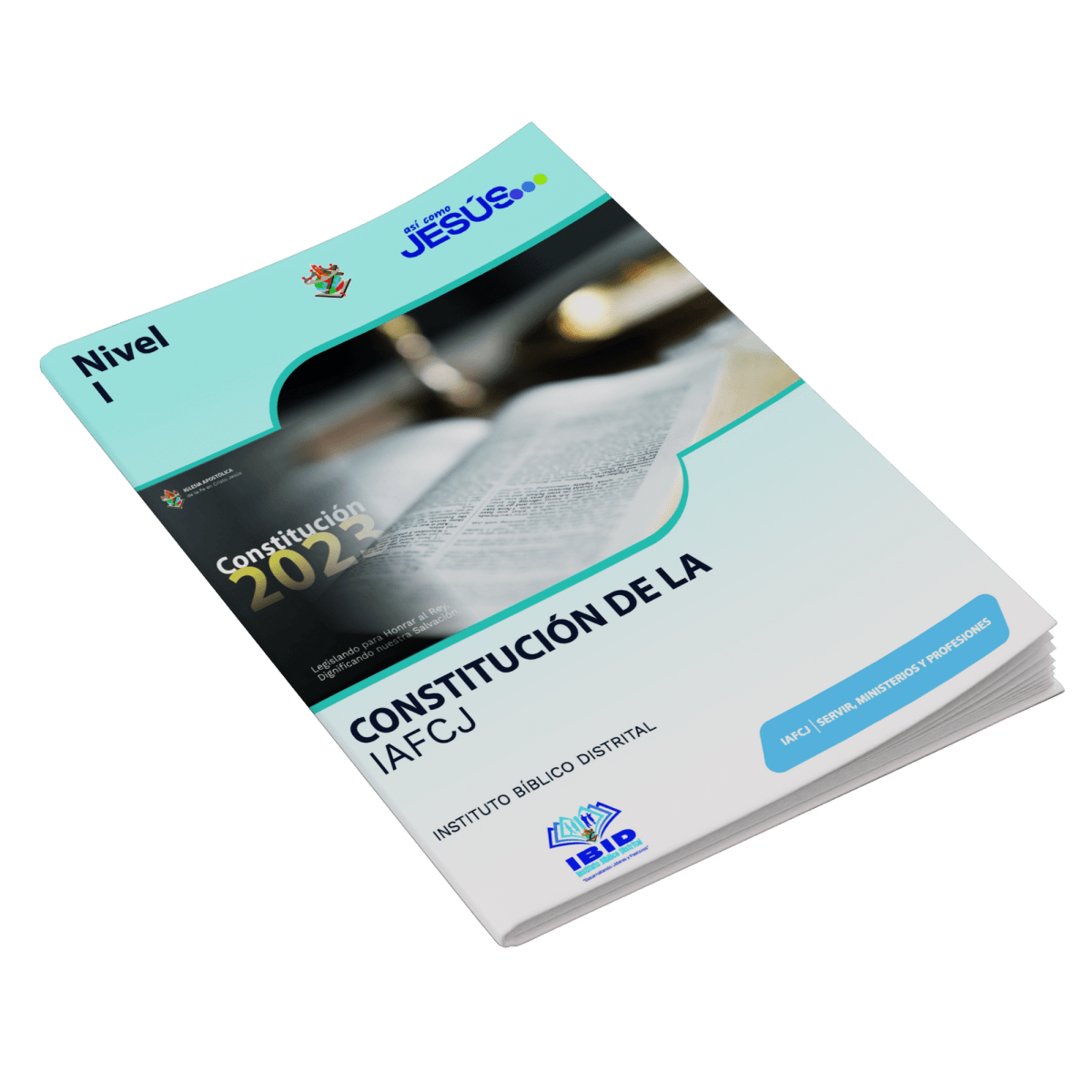 IBID NIVEL 1. CONSTITUCIÓN DE LA IAFCJ1