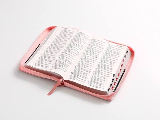 BIBLIA CLASSIC ABBA ROSA/CAFÉ1