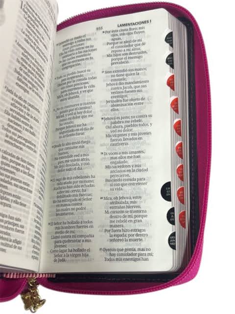 BIBLIA CONTEMPO ROSA/FUCSIA/GRIS1