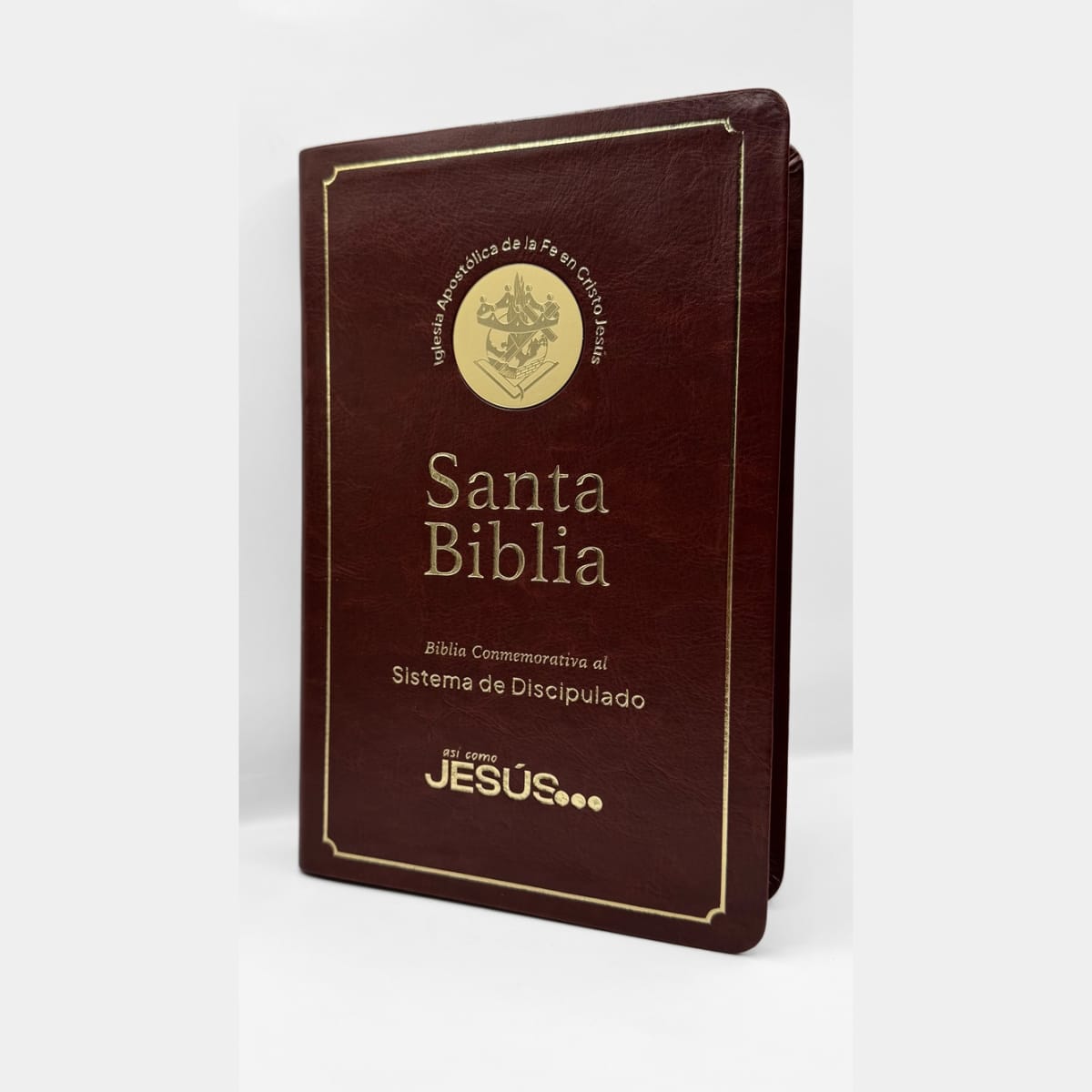 BIBLIA SIST. DISCIPULADO NEGRA ULTRA FINA2