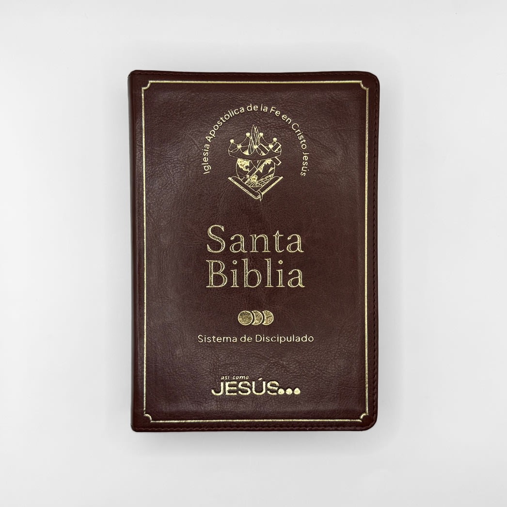 BIBLIA SIST. DISCIPULADO  NEGRA LETRA GIGANTE1