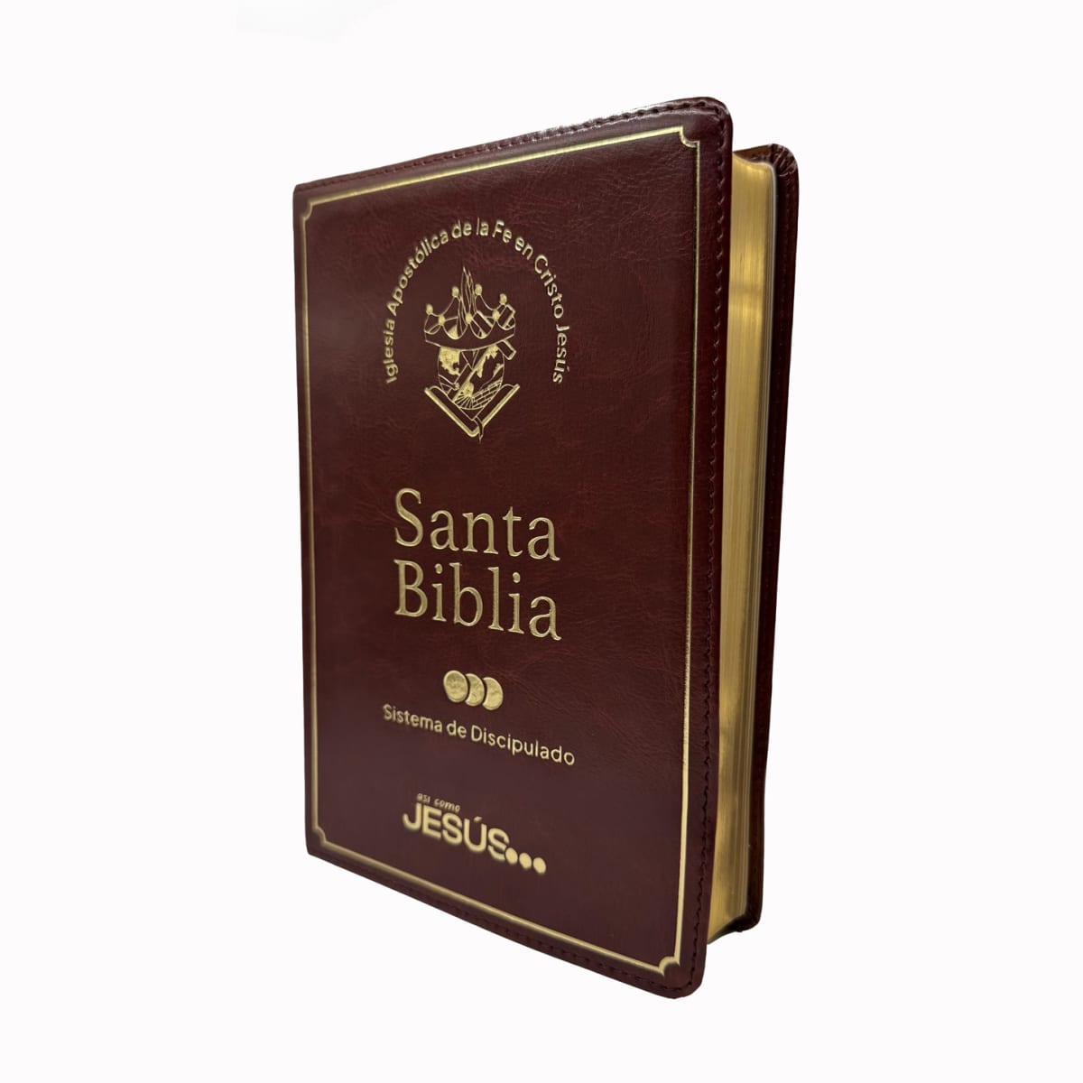 BIBLIA SIST. DISCIPULADO CAFÉ LETRA GIGANTE1