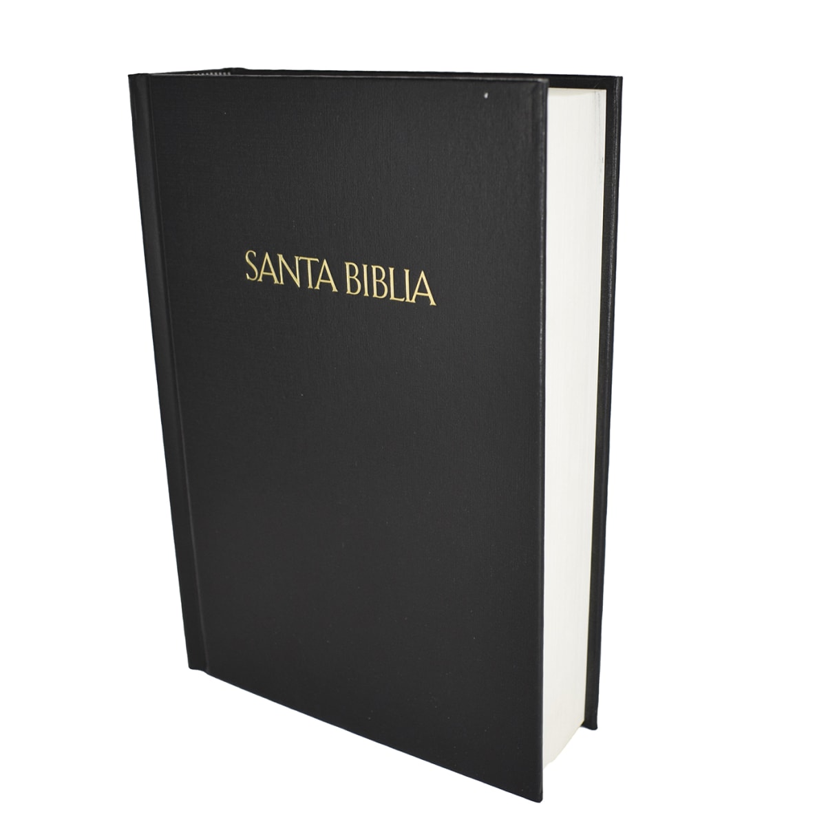 BIBLIA REGALOS Y PREMIOS2