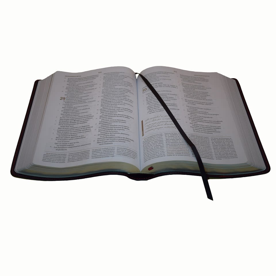 BIBLIA DE ESTUDIO SPURGEON PIEL2