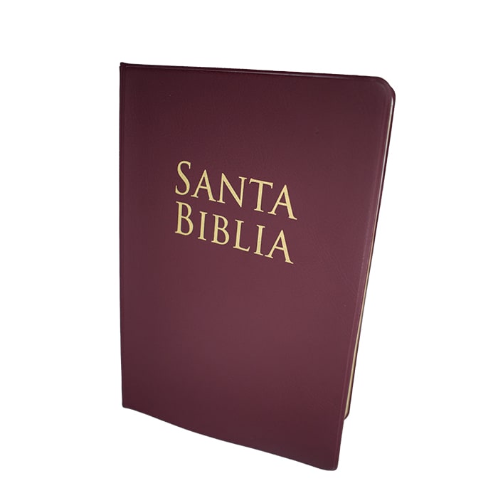 BIBLIA VINILO BORGOÑA1
