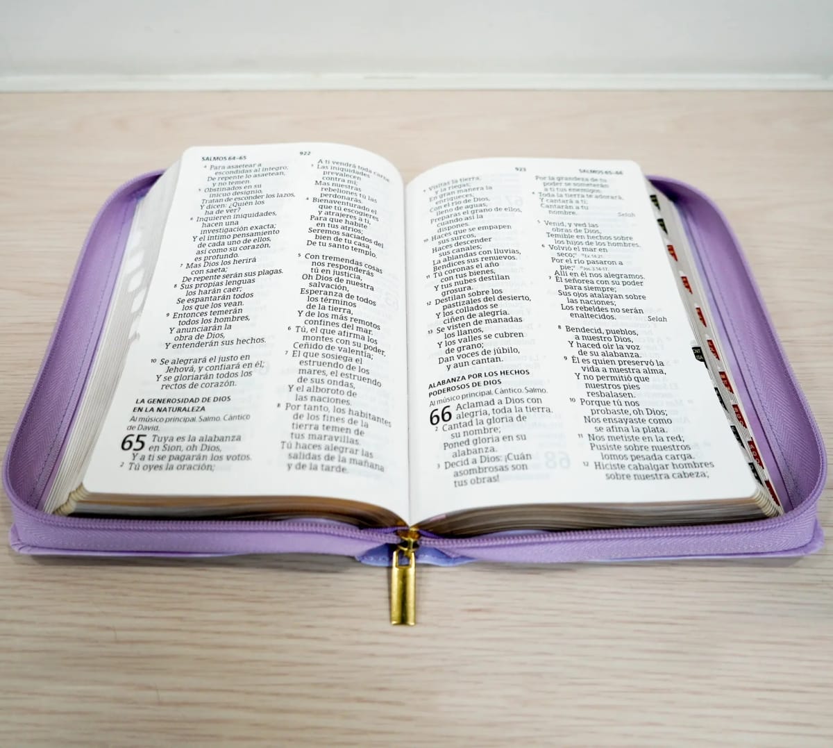 BIBLIA T. MANUAL VIOLETA CON CIERRE2