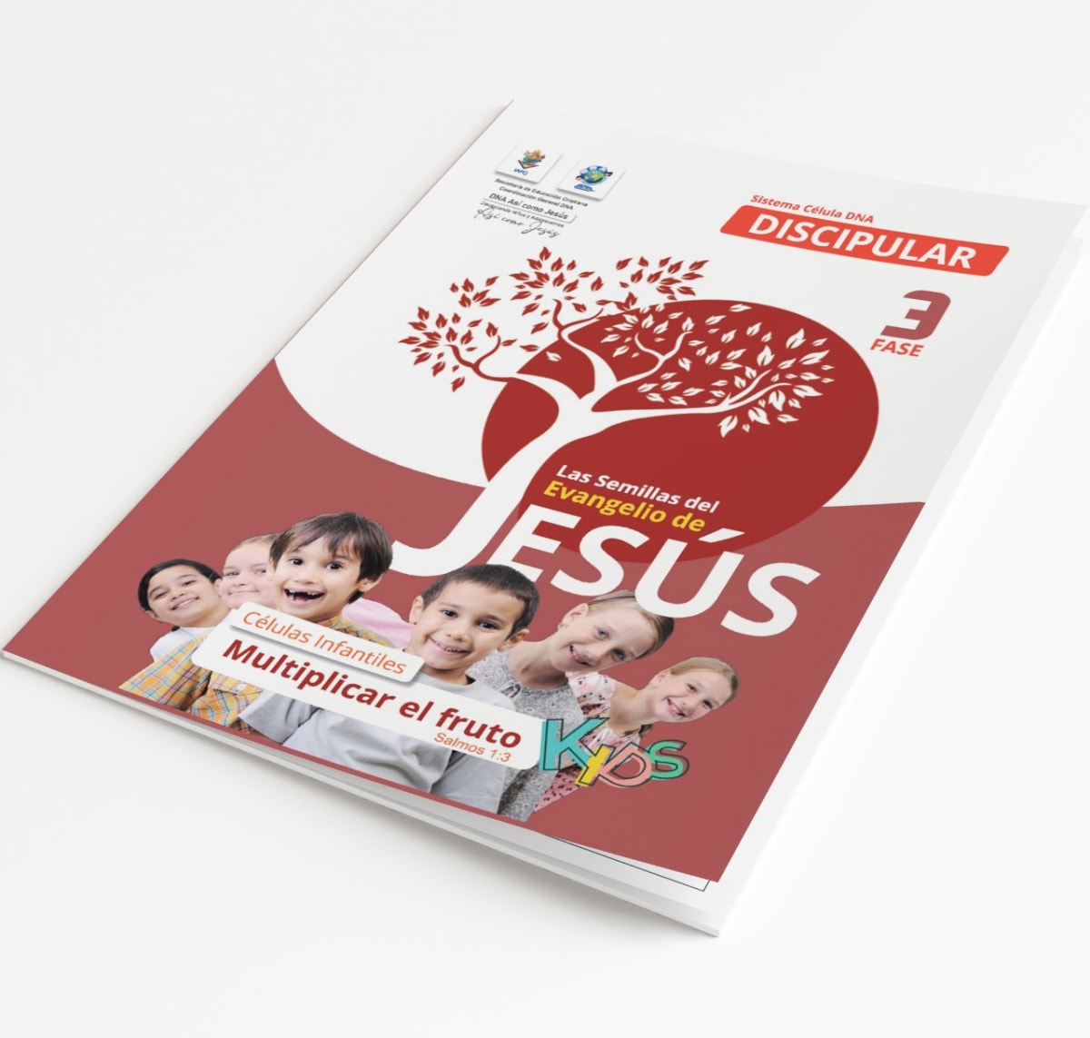 DNA CELULA 3 NIÑOS MULTIPLICAR1