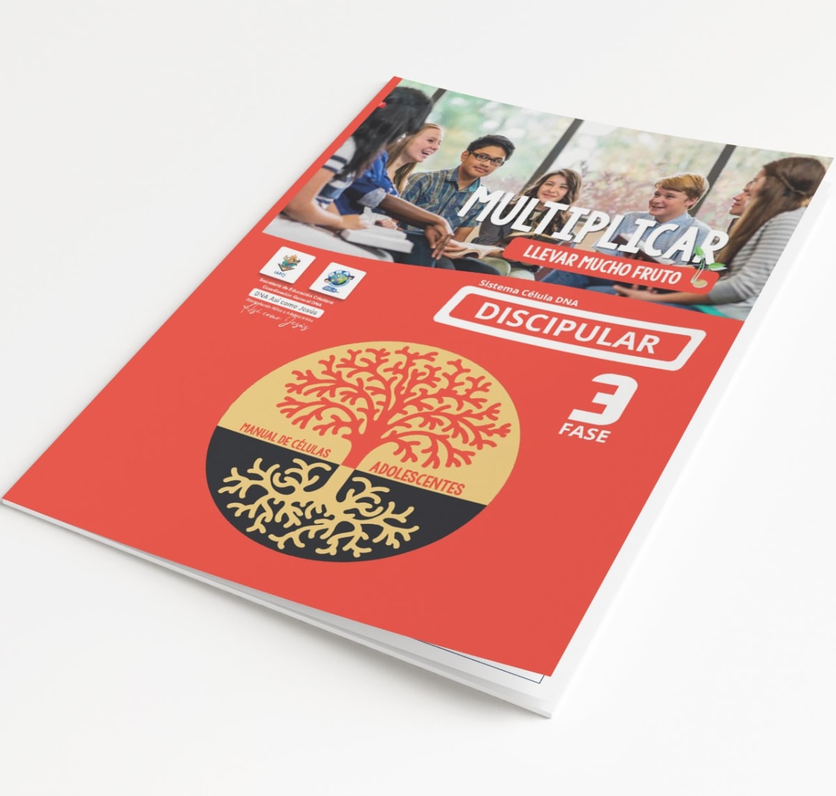 DNA CELULAS 3 ADOLESCENTES MULTIPLICAR1