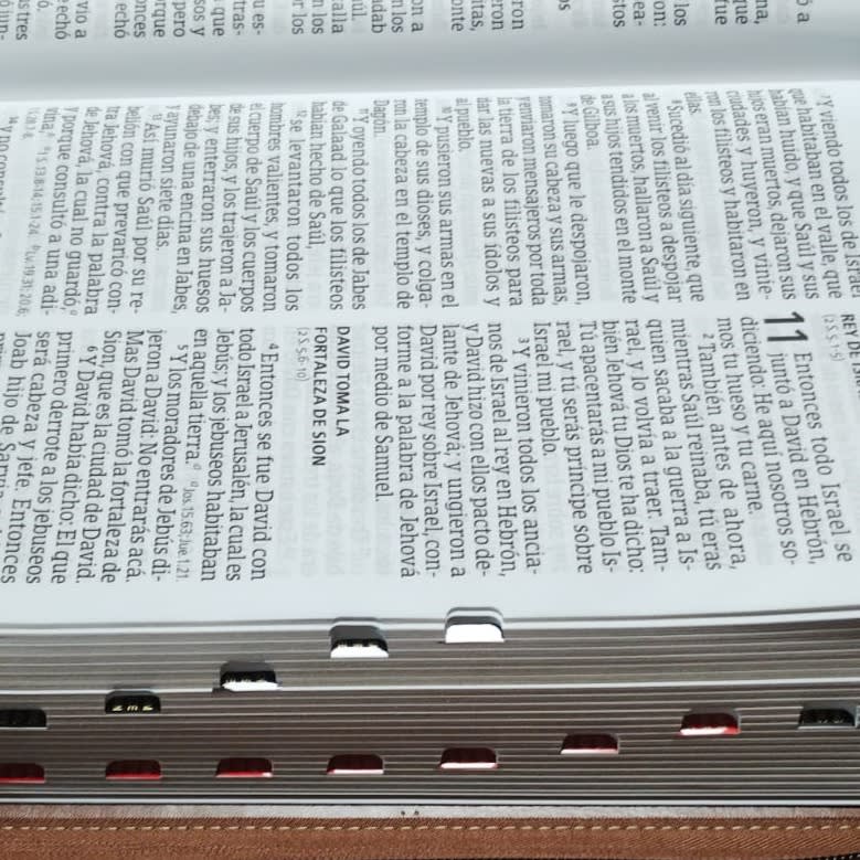 BIBLIA LETRA ULTRA GIGANTE BICOLOR1