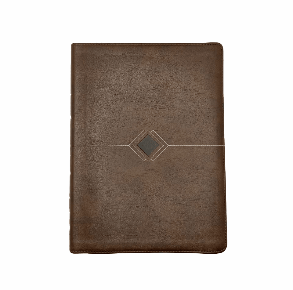 BIBLIA CRONOLÓGICA DIA POR DIA2