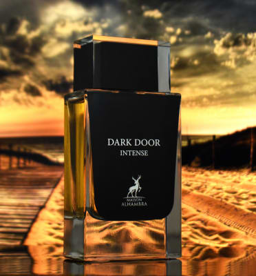 DARK DOOR INTENSE 100 ML1