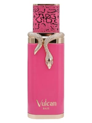VULCAN BAIE EDP1