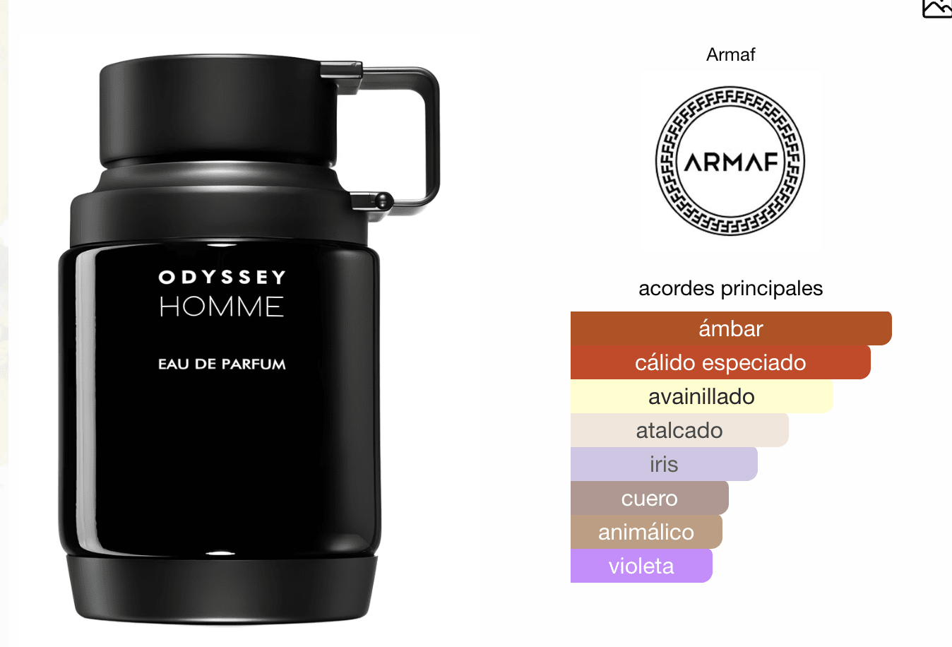 ODYSSEY HOMME BLACK EDP