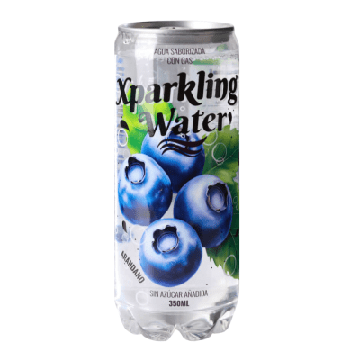 XPARKLING WATER ARANDANO 350ML
