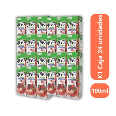 JUGO VIVO 190ML X24 BERRIES
