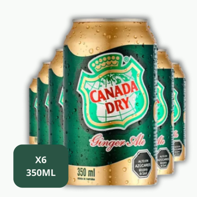 CANADA DRY GINGER ALE 350MLX6