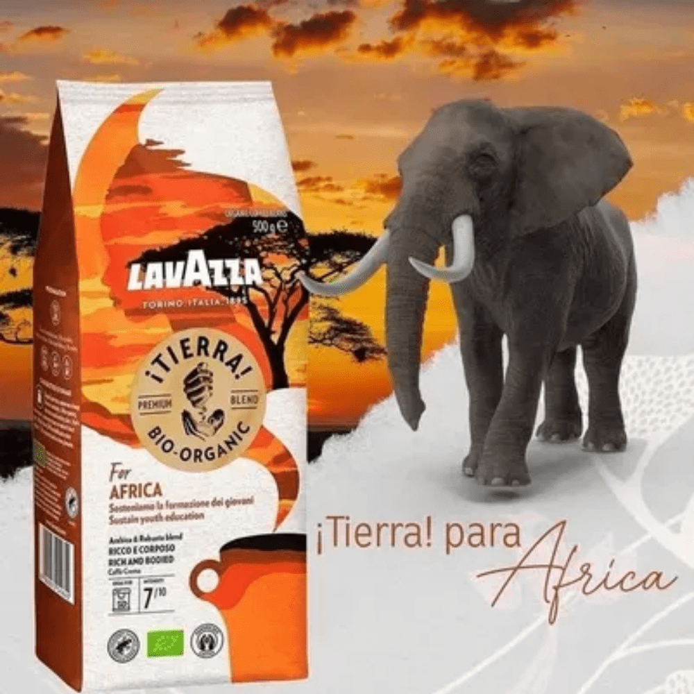 LAVAZZA FOR AFRICA2