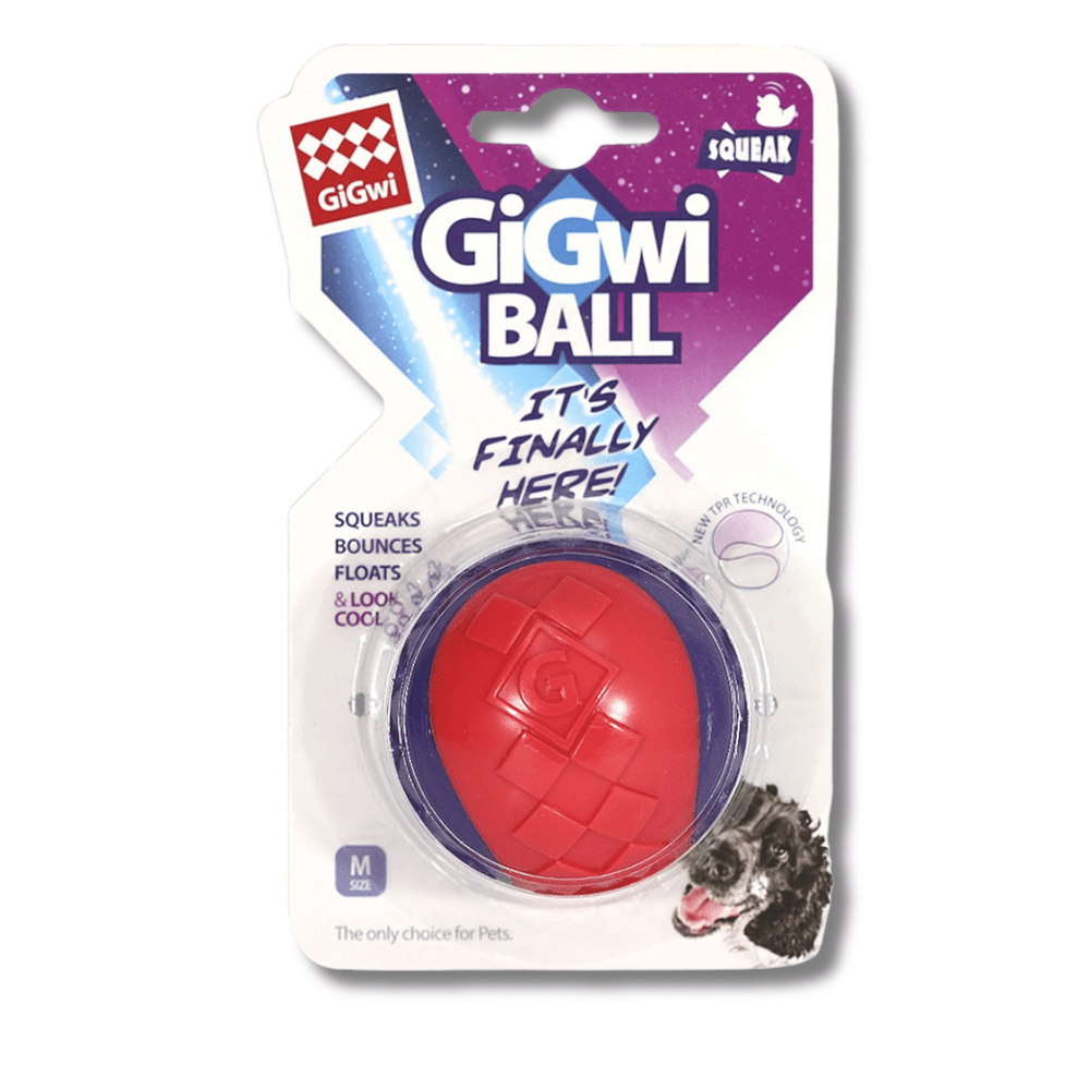 GIGWI PELOTA MEDIUM1 PZ (6296)1