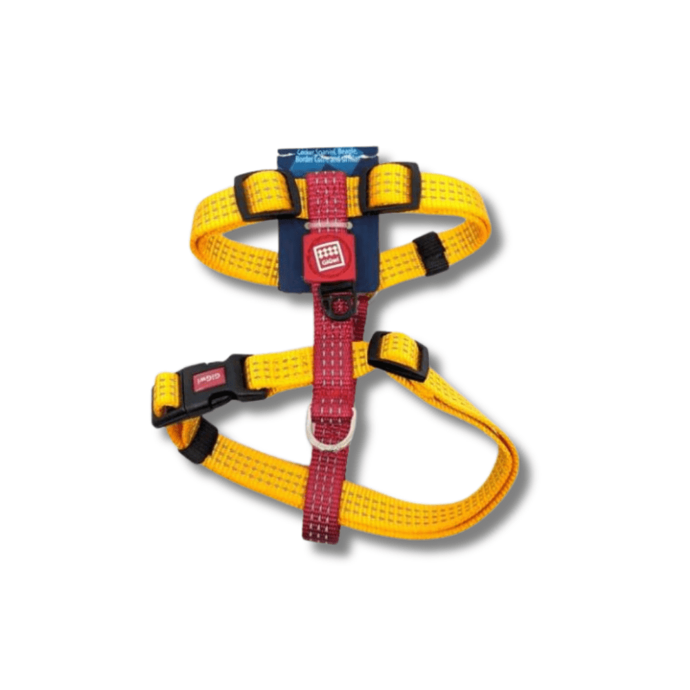 GIGWI HARNES 15mm 30-50cm M1