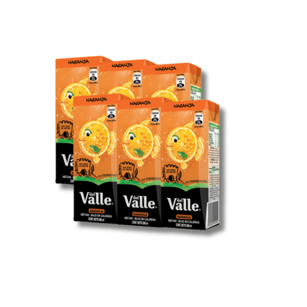 NECTAR DEL VALLE NARANJA X6 200 ML1