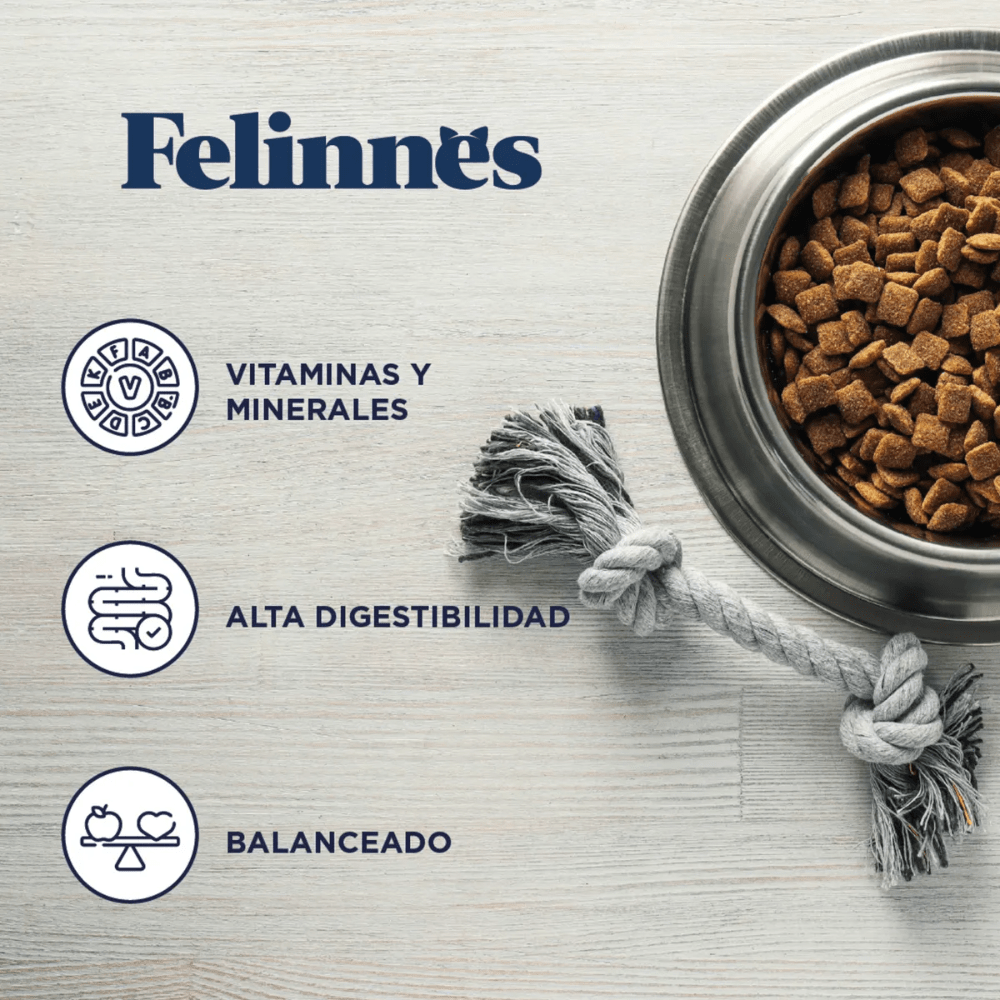 FELINNES ADULTO SALMON 85G2