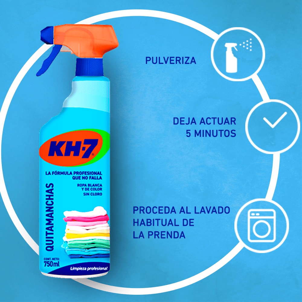 QUITAMANCHAS KH7 750ML2