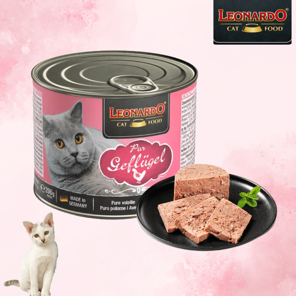 LEONARDO LATA AVE 200G2