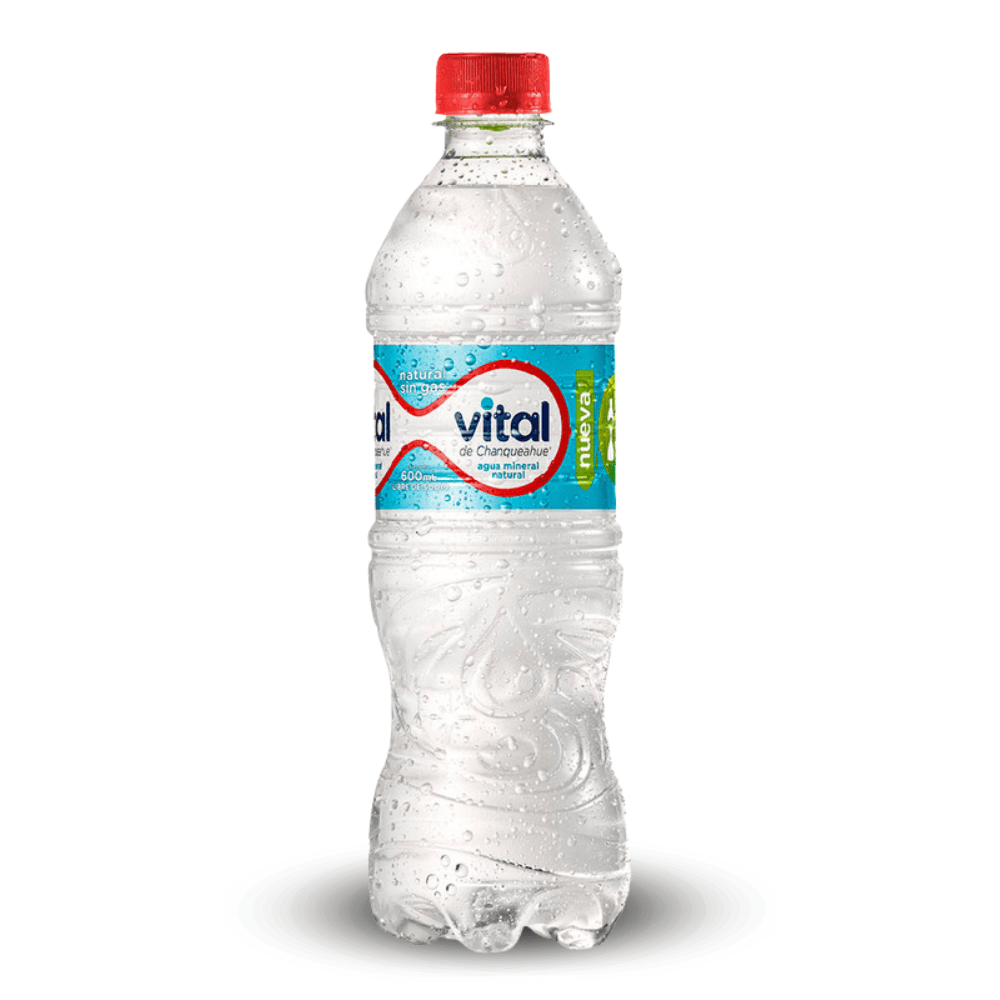 AGUA SIN GAS VITAL 600 ML1