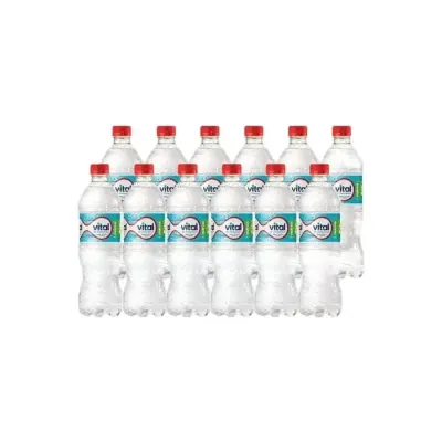 DISPLAY VITAL 600ML SIN GAS X121