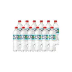 DISPLAY VITAL 600ML SIN GAS X12