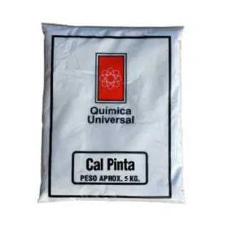 PINTA CAL 5 KILOS QUIMICA UNIVERSAL