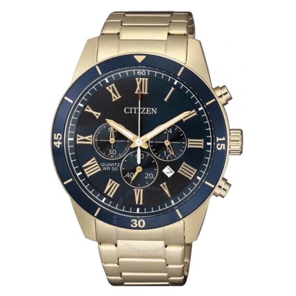 RELOJ CITIZEN AN816958L1