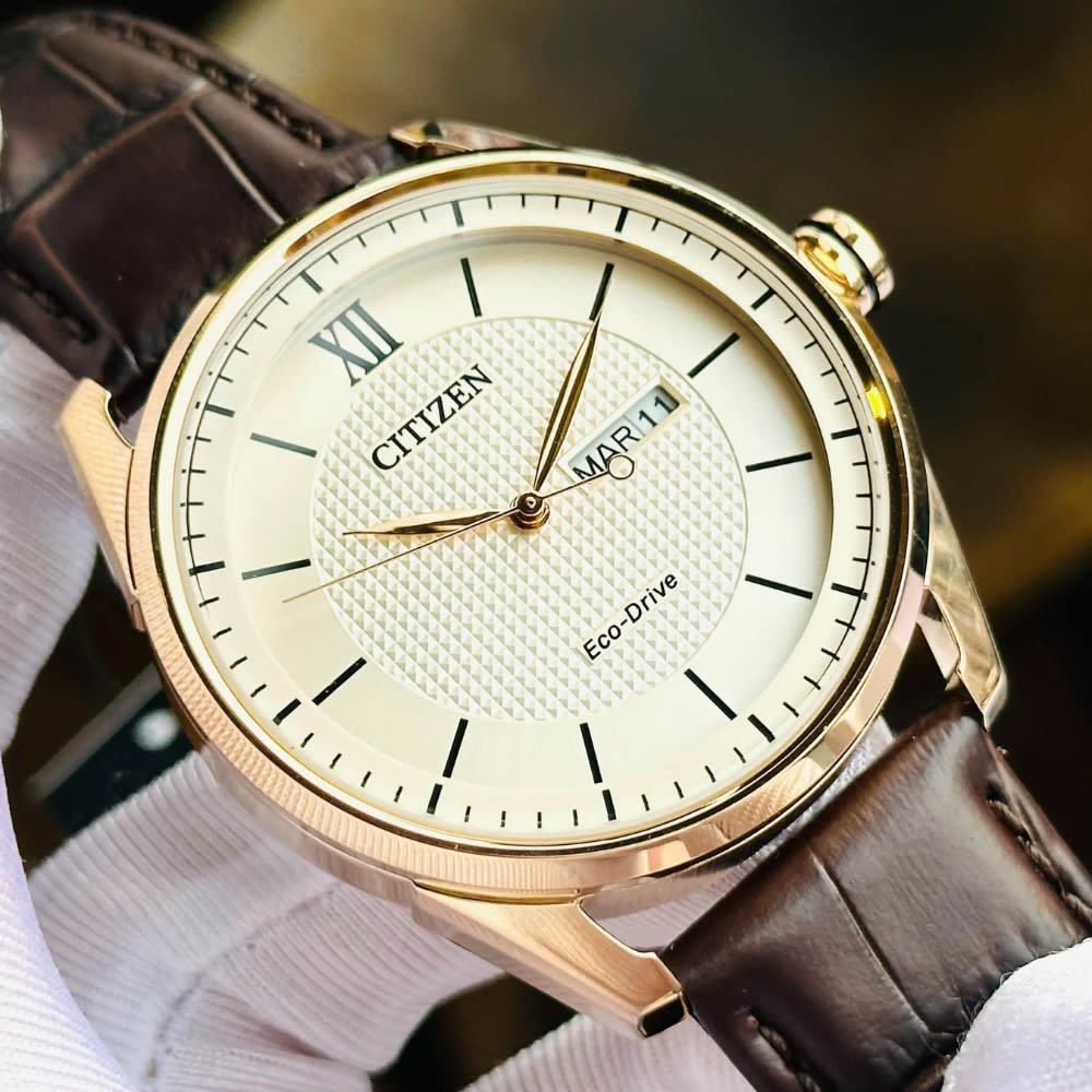 Reloj Citizen Eco-Drive AW0082-01A Oro Rosa Acero Cuero Hombre5