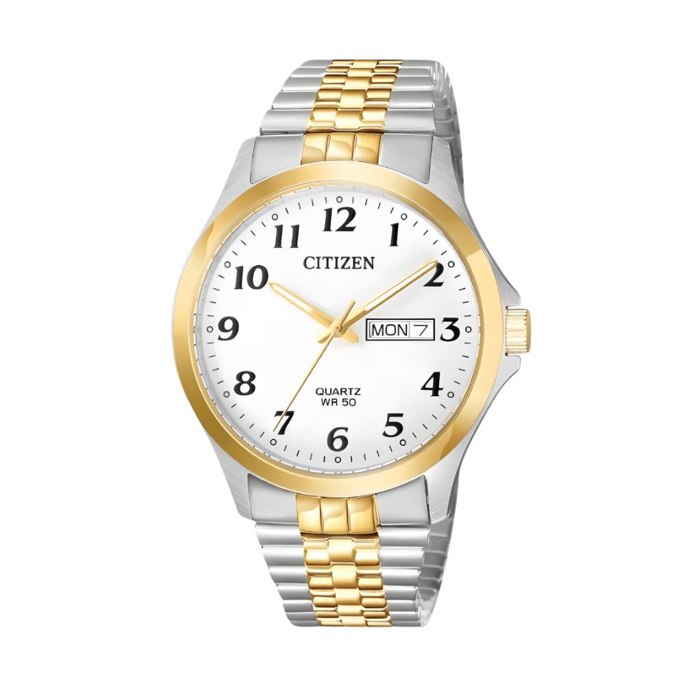 Reloj Citizen Quartz BF5004-93A Bicolor Acero Elástico Hombre5