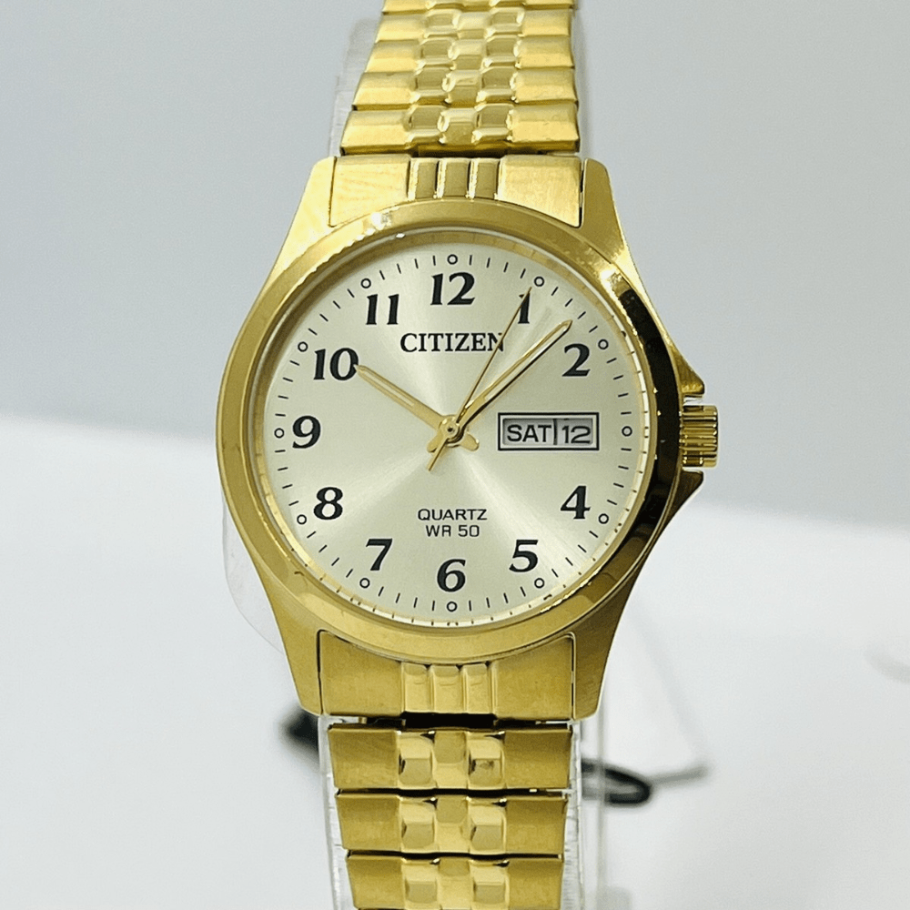 RELOJ CITIZEN EQ2002-91P DORADO2