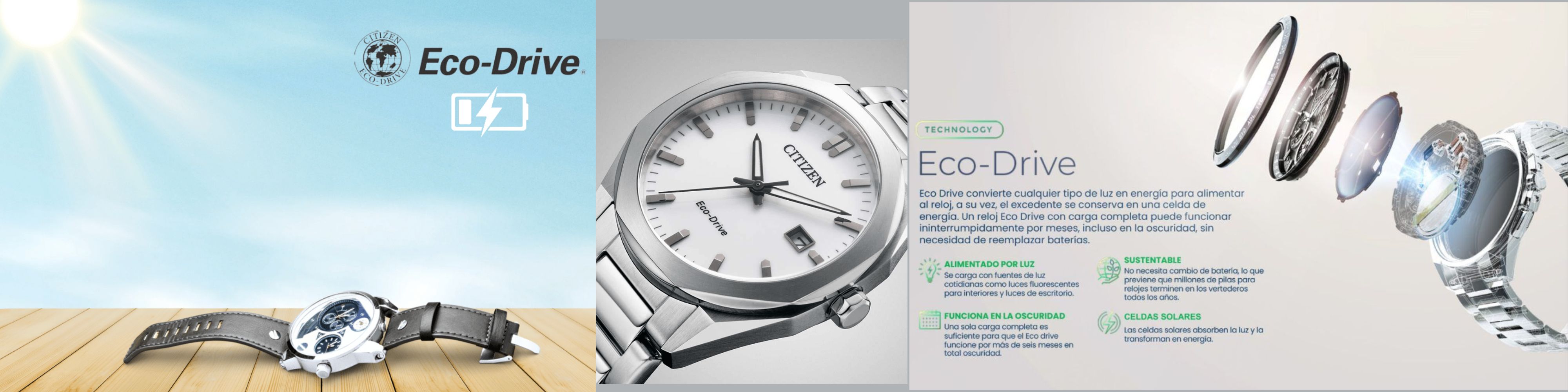 Reloj Citizen Eco-Drive BM7633-81X Golden Rose Dial Verde Acero